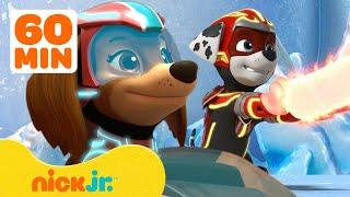 PAW Patrol Mighty Pups Használja szupererejüket! w/ Liberty & Marshall | 1 órás összeállítás | Nick Jr.