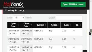 hot forex pamm