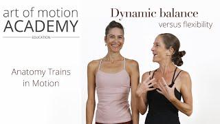 Dynamic Balance Versus Flexibility | Anatomy Trains in Motion