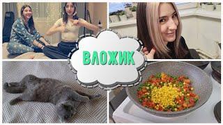 КРИС ЗАВЕЛА КОТА/ ЧТО С АЛЛЕРГИЕЙ?/ МАСЯ В СТРЕССЕ /ГОТОВЛЮ ГАВАЙСКУЮ СМЕСЬ