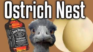 The Ostrich Nest - Epic Meal Time