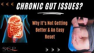 Chronic Gut Issues? Why It's Not Getting Better