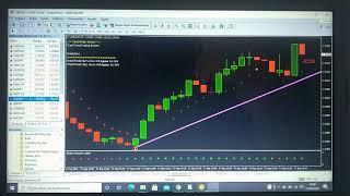 robo boss trader -curso boss trader - boss trader - boss trader funciona mesmo? boss trader funciona