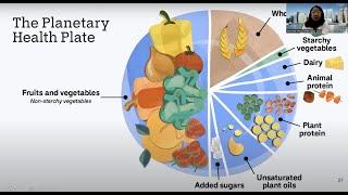 How Food Choices Affect the Environment