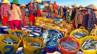 Tons of Fish Per Day in Vietnamese Fishing Village