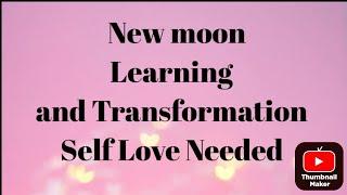 NEW MOON | Twinflame Energy Updates | Big Changes are coming