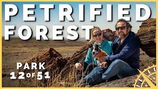 ️ Petrified Forest NP: Most Dog Friendly National Park in USA? | 51 Parks with the Newstates