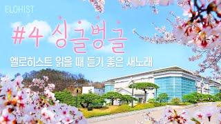 엘로히스트 읽을 때 듣기 좋은 새노래 #4