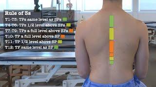 Thoracic & Lumbar Spine Palpatory Landmarks for Physical Examination & Osteopathic Structural Exam