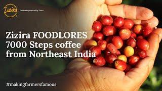 What is Northeast Coffee? | Zizira | 7000 Steps Coffee| March 2022 | Meghalaya coffee