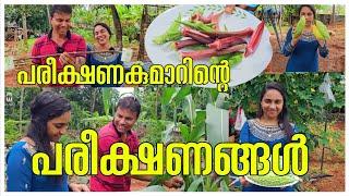 ഇവിടെ ഒരു സ്വർഗം സൃഷ്ടിക്കാം/Pavakka Krishi/Agriculture Tips /Entertainment /Funny /Comedy /harvest