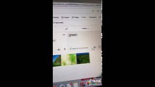 VER VERT VERS VERRE ? ENGLISH TO FRENCH FUNNY TRANSLATIONS | green glass towards VIRAL GOOGLE VOICE