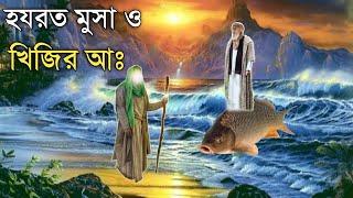 হযরত মুসা ও খিজির আঃ এর বিষ্ময়কর কাহিনী | ইসলামিক কাহিনী | OUR ISLAM