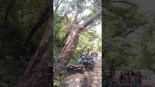 Amreser Mahadev Nazara #Amreser #viralvideo #trending