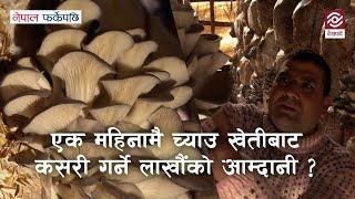 एक महिनामै च्याउ खेतीबाट कसरी गर्ने लाखौंको आम्दानी? |Mushroom Farming| Nepal Farkeypachi| Episode 7