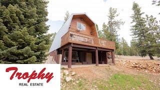 Duck Creek Village Mountain Cabin - 350 E Forest Dr