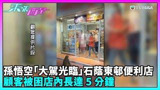 東張西望｜野猴入侵屋邨便利店搵食，其後還搶走圍觀者的食物…｜TVBUSA｜民生