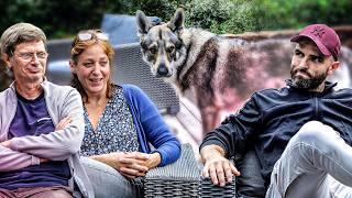 Chien-Loup : Il n'est pas comme les autres 