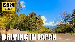 【Driving in Japan】Akiyama Forest Road : Kayanodaira - Kiriake, Nagano [Insta 360 Ace Pro 4K60P]