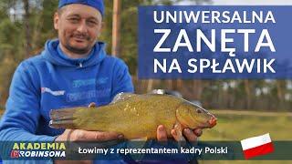 Uniwersalna zanęta na SPŁAWIK Łowienie z REPREZENTANTEM POLSKI Pawłem Wlazło! AKADEMIAROBINSONA#14