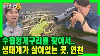 멸종위기 야생생물 1급이 산다?! 자연으로 둘러싸인 연천 투어ㅣ로드다큐 동네방네엔 63회
