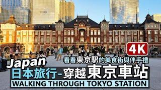 Japan／Walk through Tokyo Station 穿越日本東京車站 (東京駅) 丸之內→八重洲／Japan Railways＆Tokyo Metro／Japan Travel＆Food