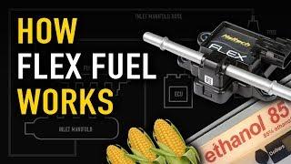  How to Flex Fuel | TECHNICALLY SPEAKING