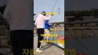 바낙스 볼란테 자바리 랜딩방법