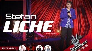 Stefan Liche-De-ai fi tu salcie la mal-Vocea Romaniei 2015-Auditii pe nevazute Ed.2-Sezon 5