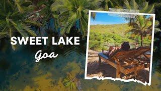 Solo Girl in search of Arambol’s secret Sweet Water Lake! ️