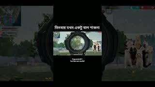 bal pakina dimat
