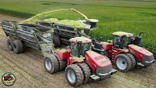 Corn Silage Harvest with Krone Big X and Double Dump Carts