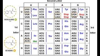 The Genetic Code