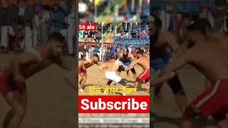 Honey pandit | kabbadi |best raider | top raider | pandat aya hoya #shorts #kabbadi #viral #views