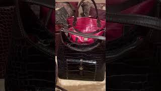 My Dooney & Bourke Lizard/Crocodile/Snakeskin Handbag Collection Part 2 |2023|