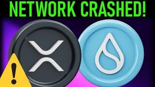 XRP SUI PAYMENTS PLUMMET n NETWORK CRASHES