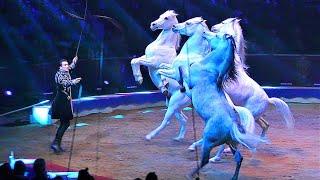 HORSES OF THE WORLD • THE SWISS NATIONAL CIRCUS