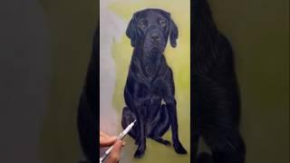 Lifelike texture of dog fur! ️ #realistic #art