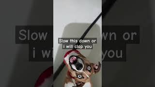 #sigma1