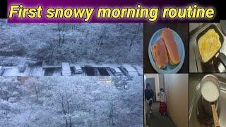 pakistani mom winter morning routine in switzerland #daliyvlog #viral#routines