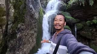 Singing Birds , Khane Pani Banauna Jungle Tira || Village Life 