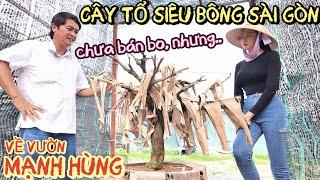 Chú Sáu Bình Dương tặng Mạnh Hùng cây tổ SBSG chùm cục cục ghép hàng loạt phôi khủng nhất Nhơn Trạch