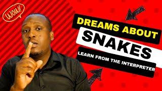 DREAMS ABOUT  SNAKES //  LEARN FROM THE INTERPETER // APOSTLE HUMPHREY