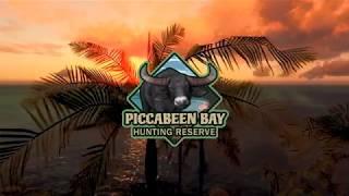 theHunter Classic | Piccabeen Bay Trailer