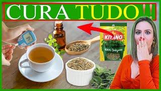 OREGANO MAKES MIRACLES | Benefits of Oregano and Oregano Tea for your health ??