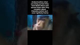 Arab and islamic hypocrisy 