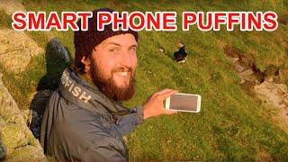 Wildlife Exposed Shetland Diaries: Puffins with a Smart Phone