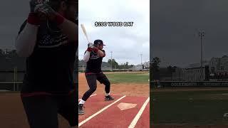 $50 Wood Bat vs. $300 Wood Bat #baseball