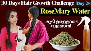 Rosemary water for faster hair growthHow to use Rosemary leaves for hair growthBest hair toner