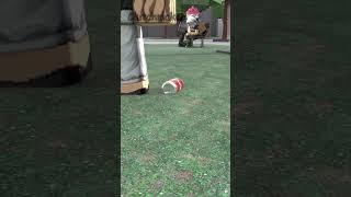 POV: When a Random Guy Tried to Steal My Girlfriend